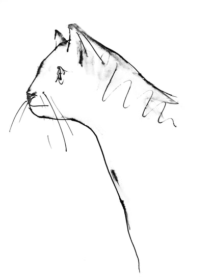 Pablo Picasso, Un Chat (Cramer 84; Johnson/Stein 77), 40 Dessins De Picasso En Marge Du Buffon,