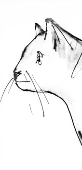 Pablo Picasso, Un Chat (Cramer 84; Johnson/Stein 77), 40 Dessins De Picasso En Marge Du Buffon,