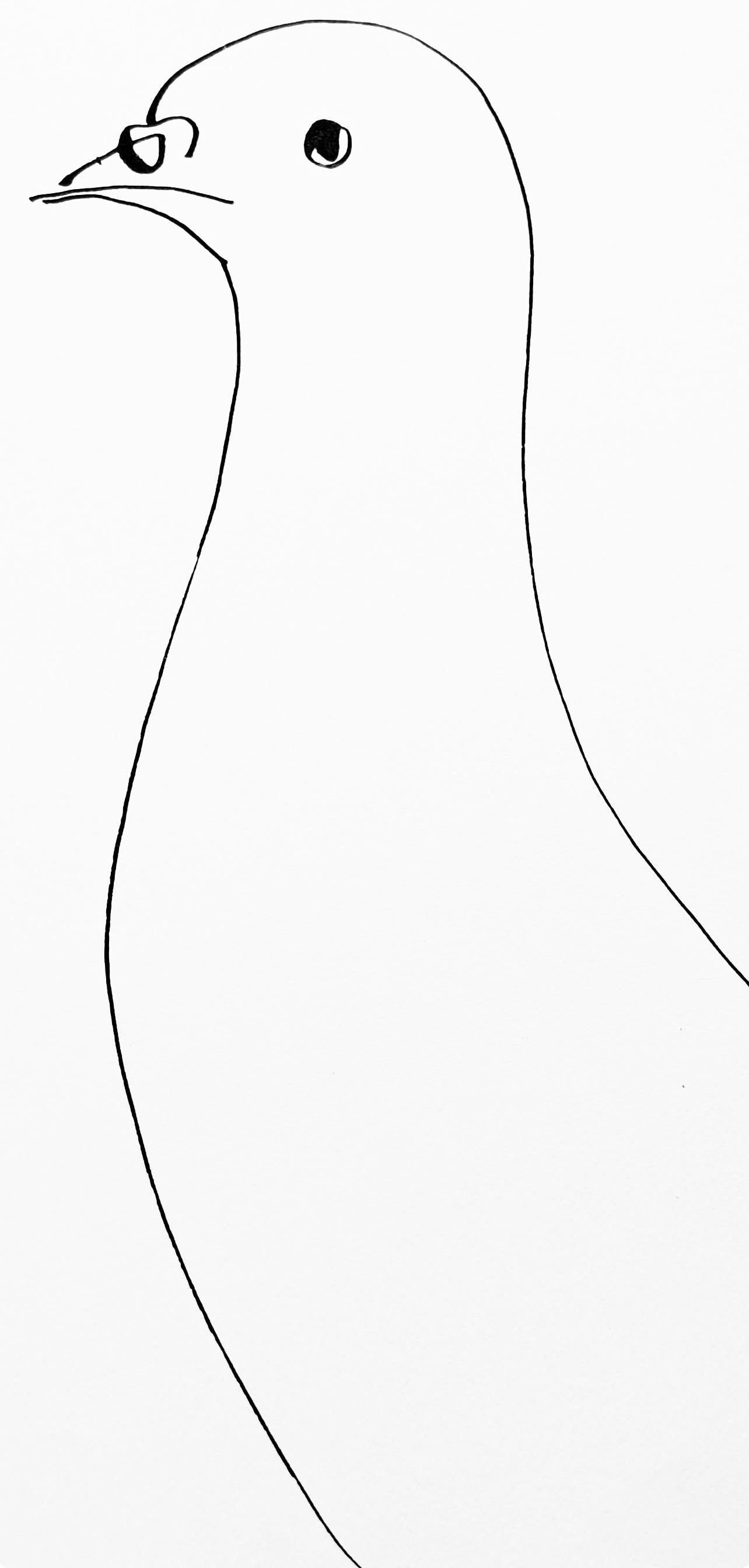 Pablo Picasso, Pigeon (Cramer 84; Johnson/Stein 77), 40 Dessins De Picasso En Marge Du Buffon,