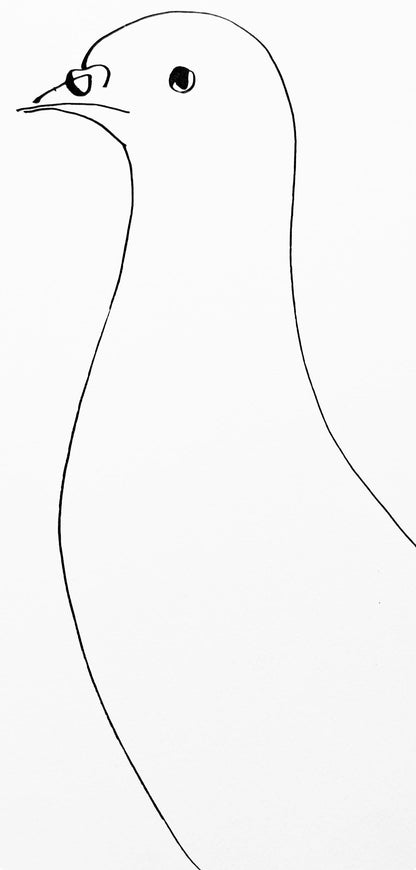 Pablo Picasso, Pigeon (Cramer 84; Johnson/Stein 77), 40 Dessins De Picasso En Marge Du Buffon,