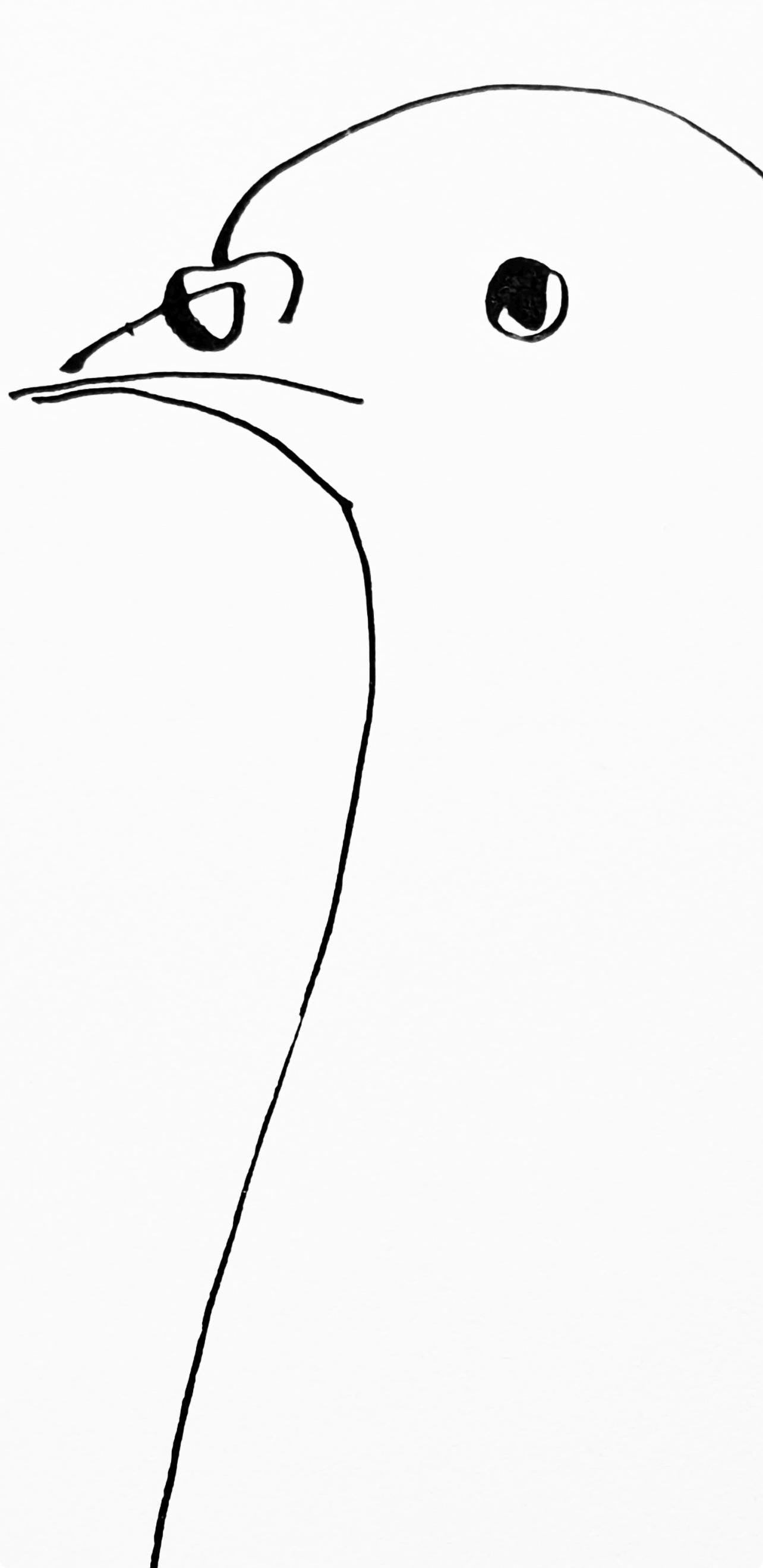 Pablo Picasso, Pigeon (Cramer 84; Johnson/Stein 77), 40 Dessins De Picasso En Marge Du Buffon,