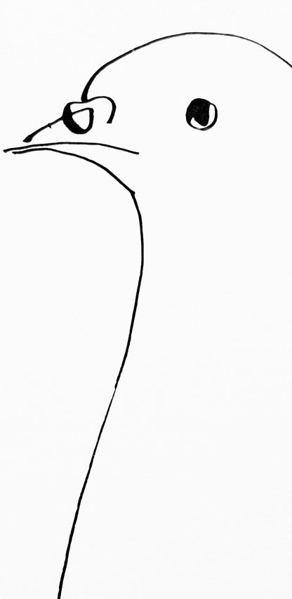 Pablo Picasso, Pigeon (Cramer 84; Johnson/Stein 77), 40 Dessins De Picasso En Marge Du Buffon,