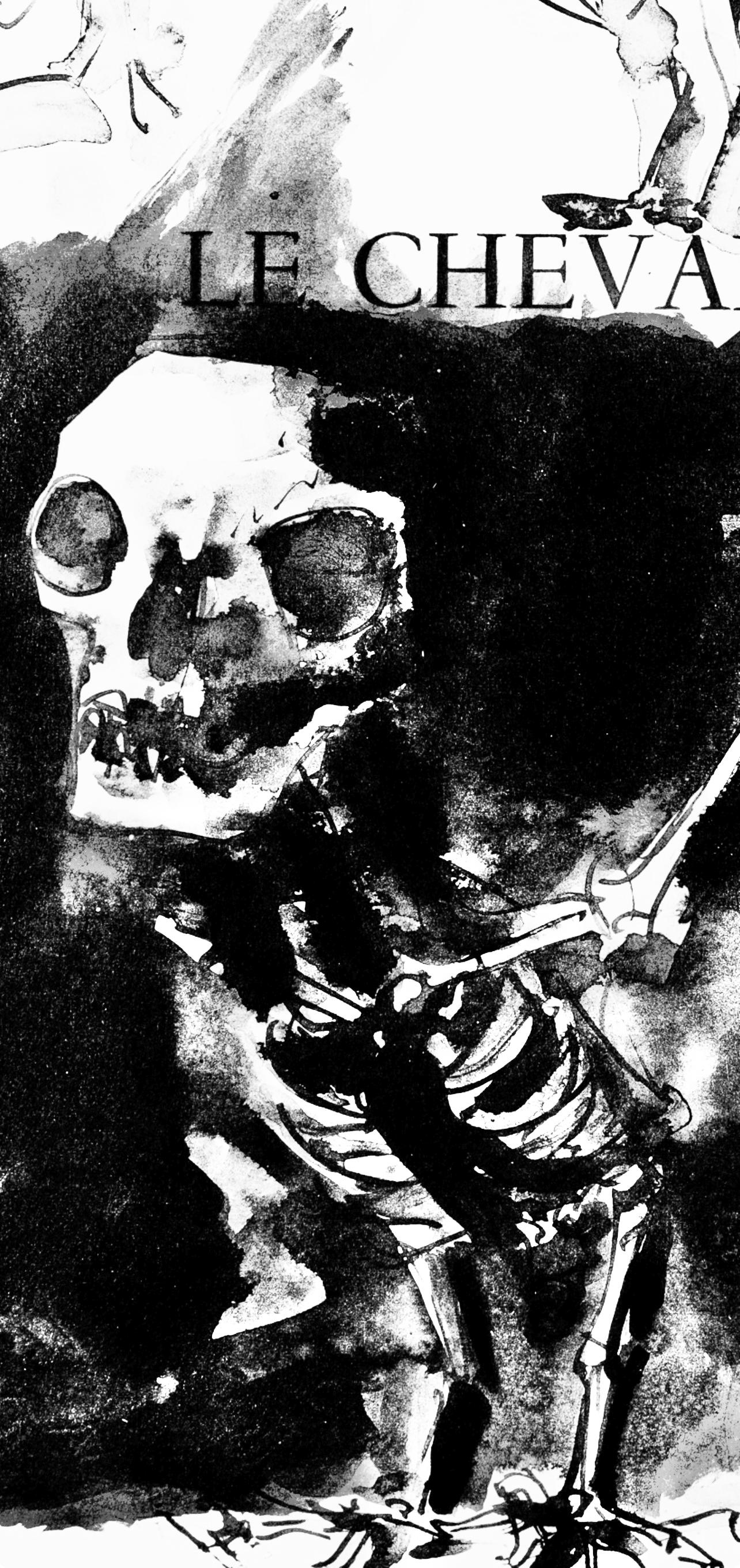 Pablo Picasso, Crnes Et Squelettes D'Oiseaux (Cramer 84; J./S. 77), 40 Dessins De Picasso En Marge