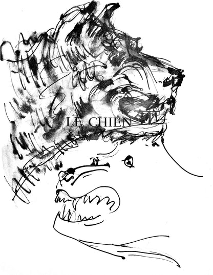 Pablo Picasso, Deux Ttes De Chiens (Cramer 84; Johnson/Stein 77), 40 Dessins De Picasso En Marge Du