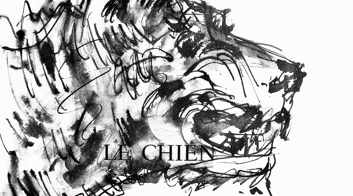 Pablo Picasso, Deux Ttes De Chiens (Cramer 84; Johnson/Stein 77), 40 Dessins De Picasso En Marge Du