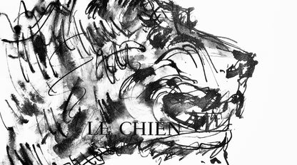 Pablo Picasso, Deux Ttes De Chiens (Cramer 84; Johnson/Stein 77), 40 Dessins De Picasso En Marge Du