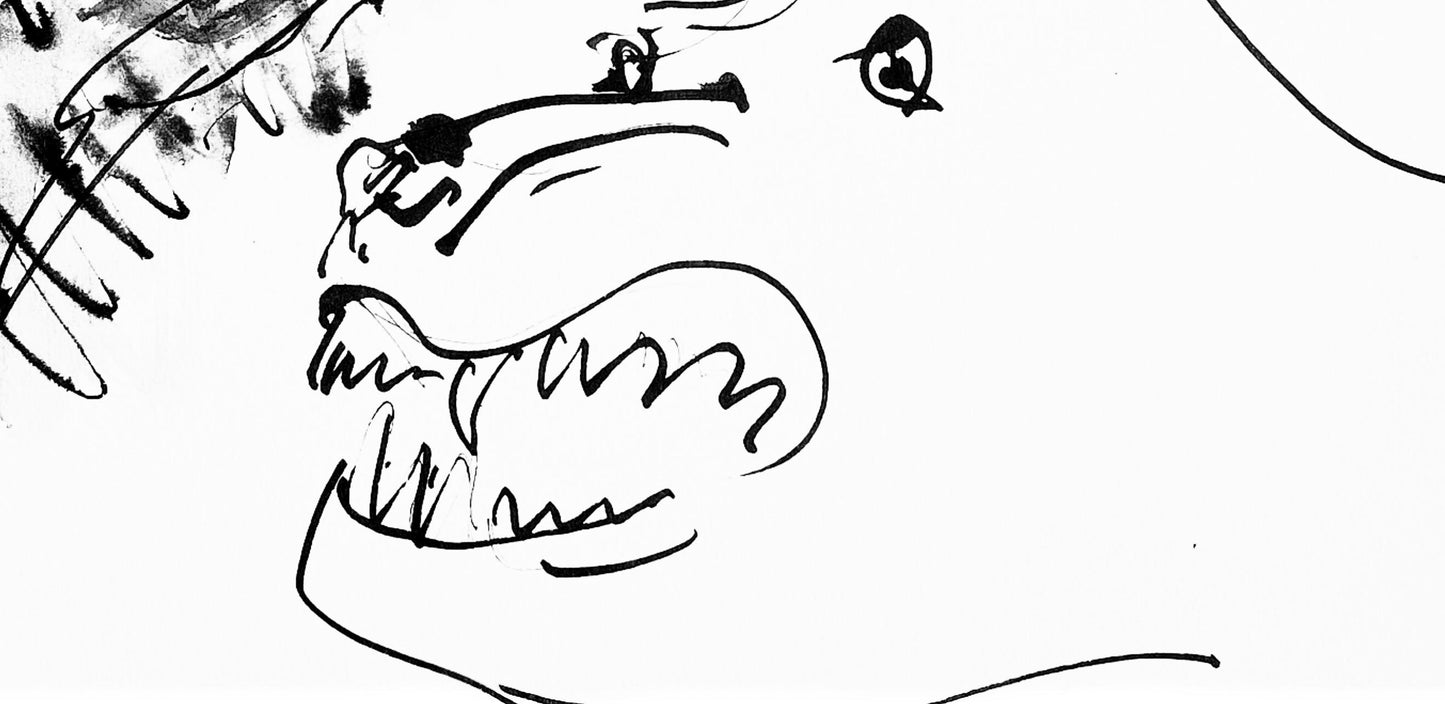 Pablo Picasso, Deux Ttes De Chiens (Cramer 84; Johnson/Stein 77), 40 Dessins De Picasso En Marge Du