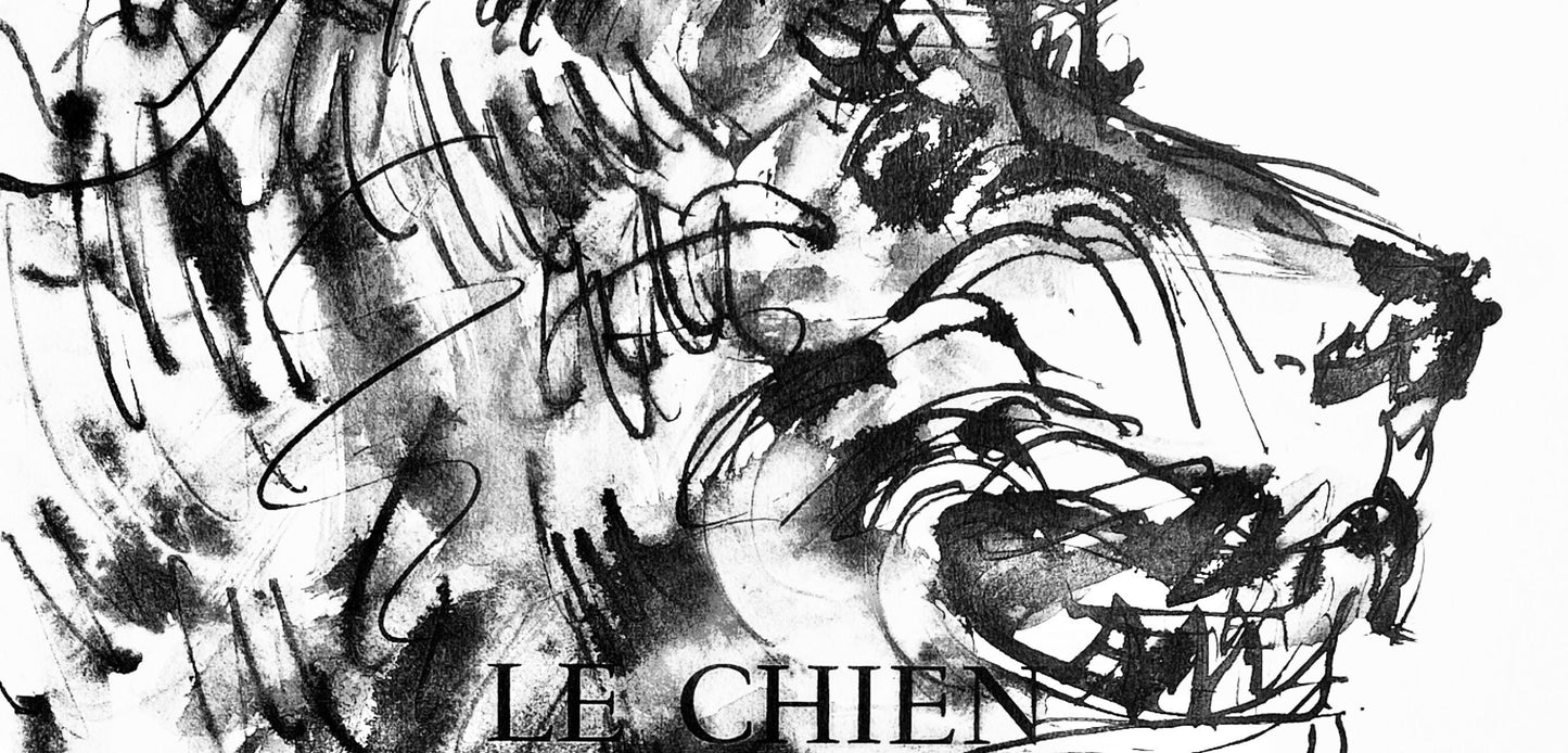 Pablo Picasso, Deux Ttes De Chiens (Cramer 84; Johnson/Stein 77), 40 Dessins De Picasso En Marge Du