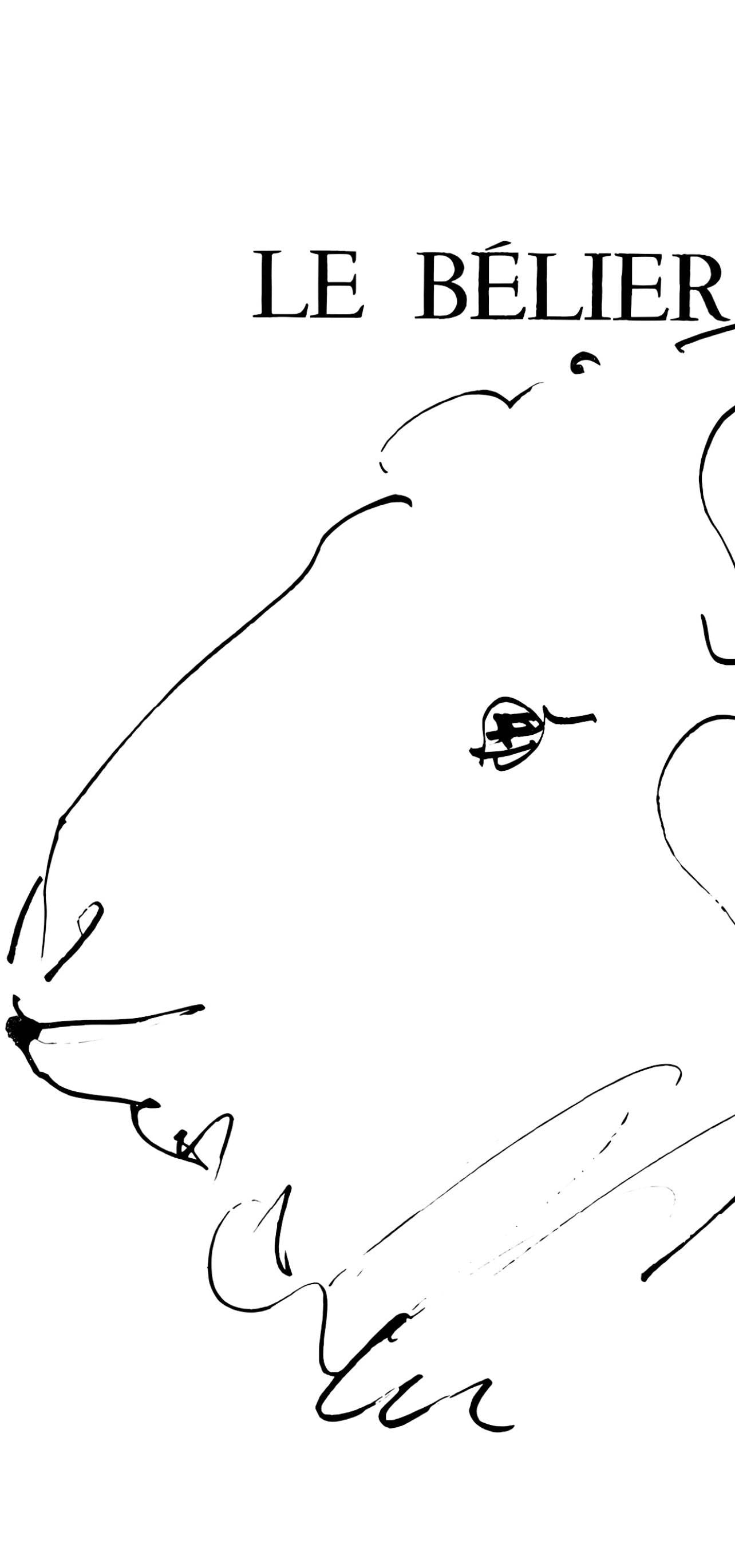 Pablo Picasso, Le Blier (Cramer 84; Johnson/Stein 77), 40 Dessins De Picasso En Marge Du Buffon,