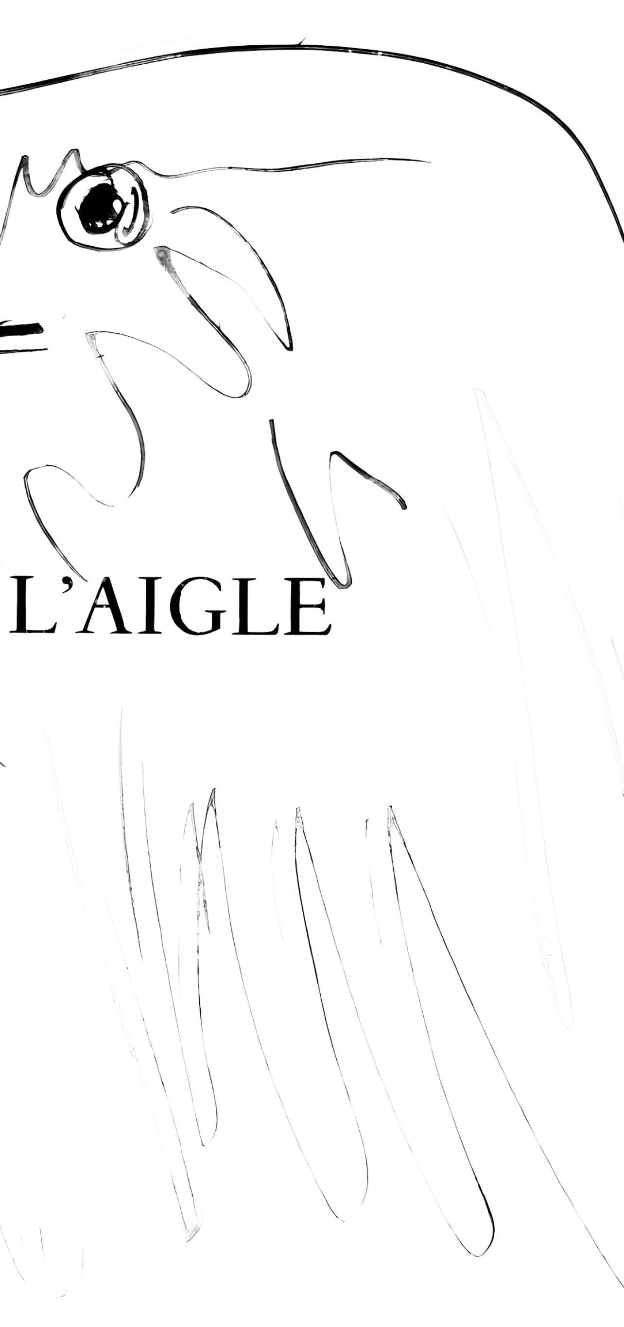 Pablo Picasso, L'Aigle (Cramer 84; Johnson/Stein 77), 40 Dessins De Picasso En Marge Du Buffon,