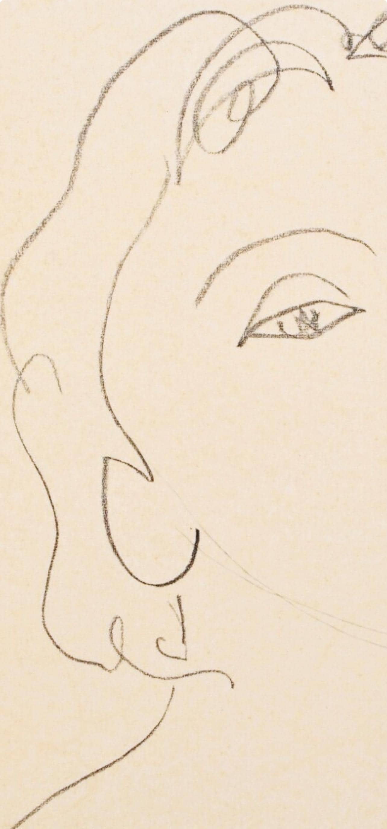 Henri Matisse, Mademoiselle D.A., Portraits Par Henri Matisse, Hliogravure
