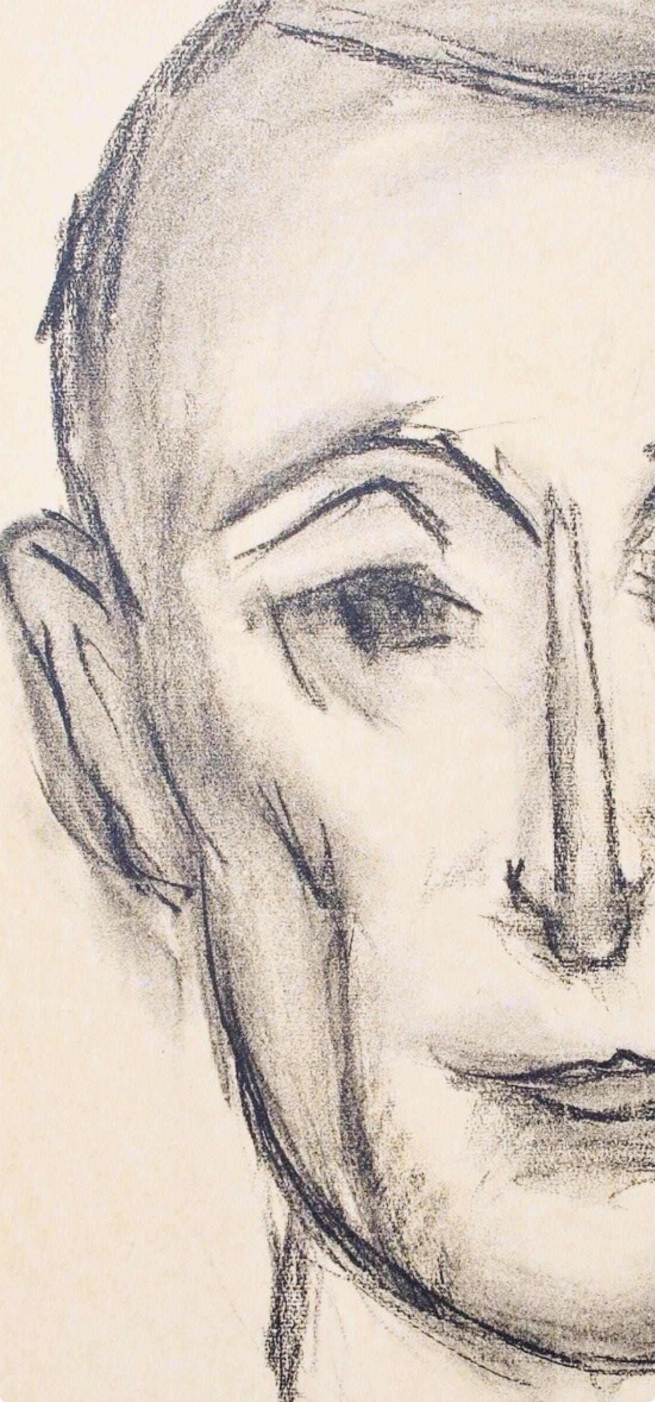 Henri Matisse, Albert Skira, Portraits Par Henri Matisse, Hliogravure