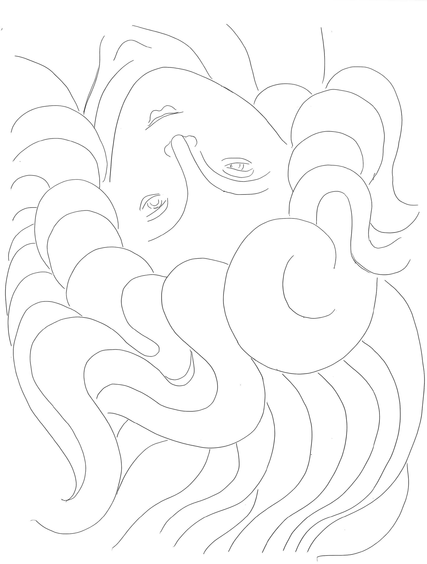 Henri Matisse, Le Phnix, Posies De Stphane Mallarm, Lithograph