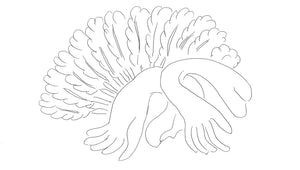 Descriptive image text