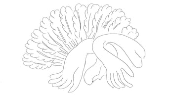 Henri Matisse, Sans Titre, Posies De Stphane Mallarm, Lithograph