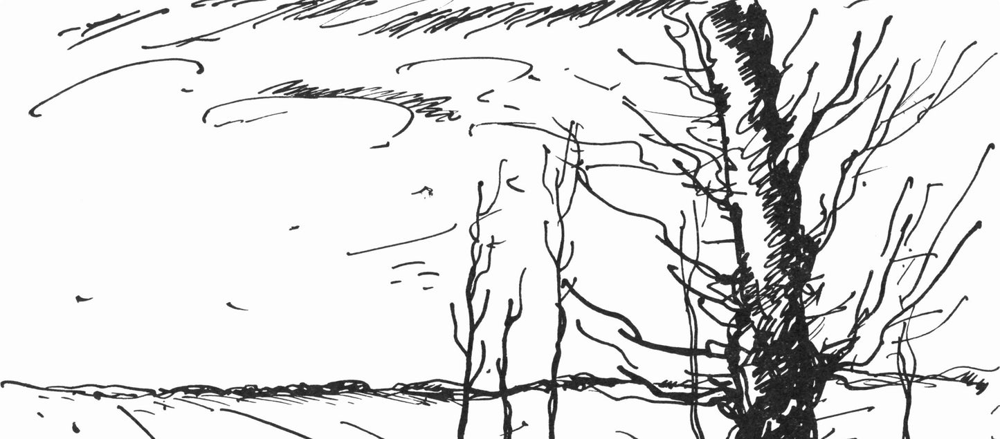 Maurice De Vlaminck, Valle De L'Avre (Walterskirchen 277), Vlaminck, Signed, Lithograph