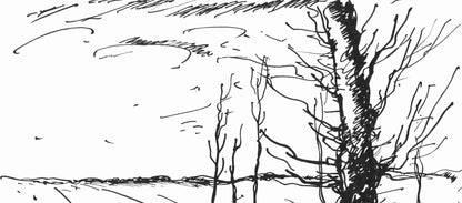 Maurice De Vlaminck, Valle De L'Avre (Walterskirchen 277), Vlaminck, Signed, Lithograph