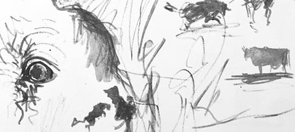 Pablo Picasso, Composition (Bloch 1276; Czwiklitzer 23), Toros Y Toreros, Lithograph