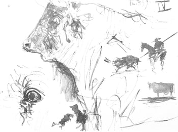 Pablo Picasso, Composition (Bloch 1276; Czwiklitzer 23), Toros Y Toreros, Lithograph