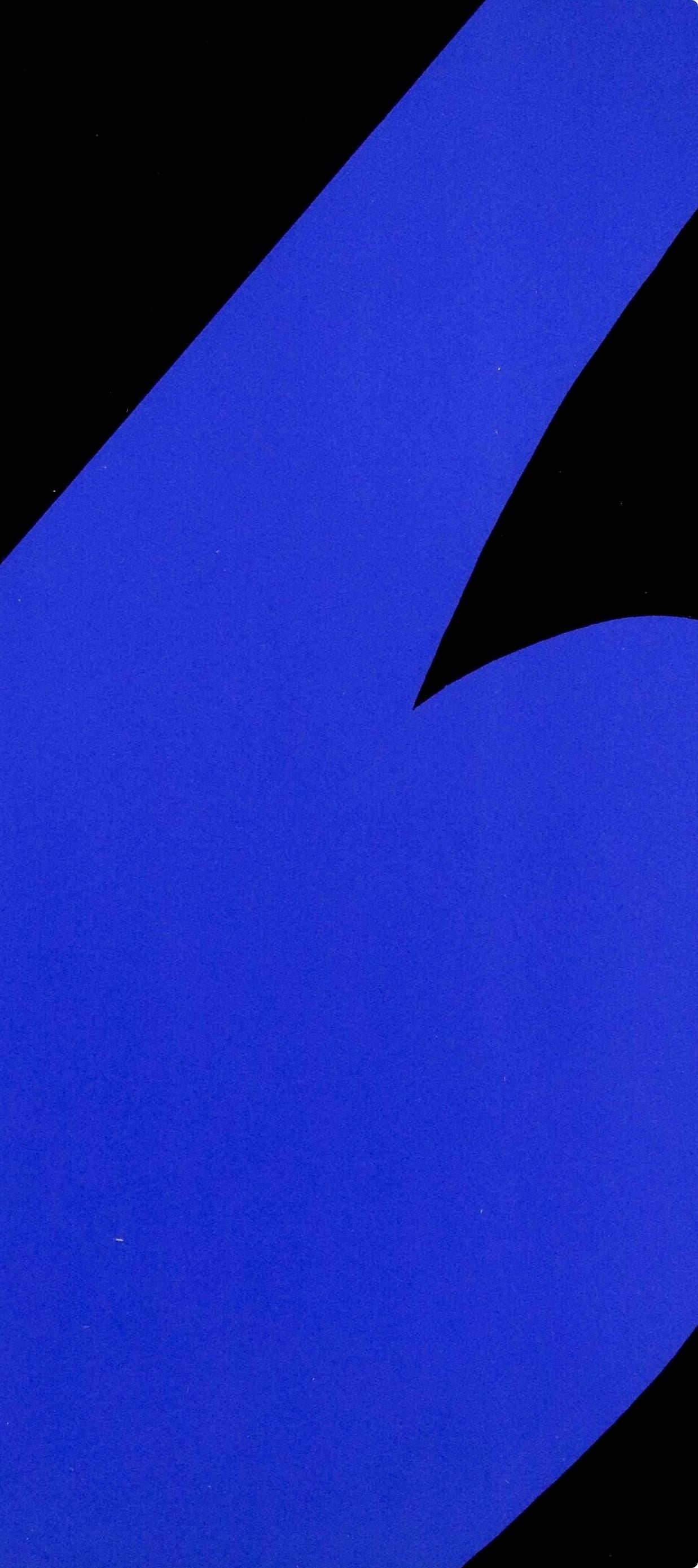 Ellsworth Kelly, Composition (Axsom Ia), Derrire Le Miroir, Lithograph