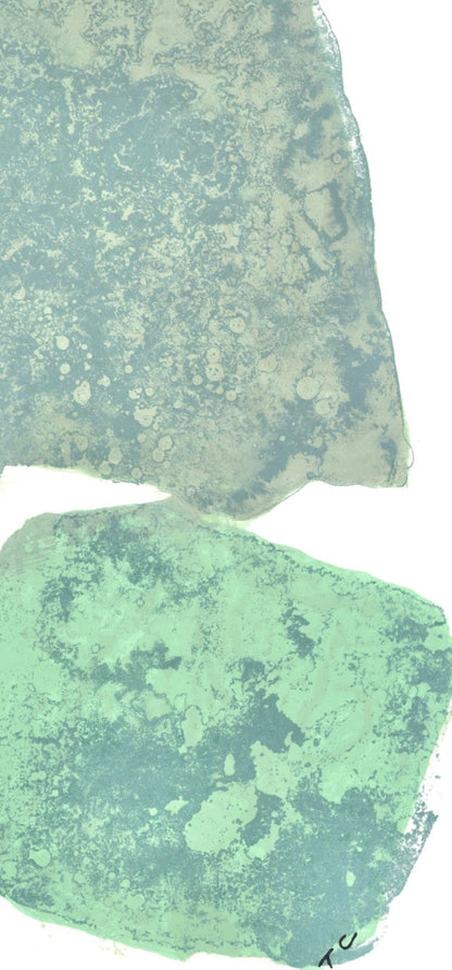 Pierre Tal-Coat, Composition, Hommage Aim Et Marguerite Maeght, Derrire Le Miroir, Lithograph