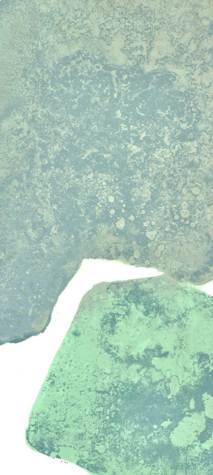 Pierre Tal-Coat, Composition, Hommage Aim Et Marguerite Maeght, Derrire Le Miroir, Lithograph