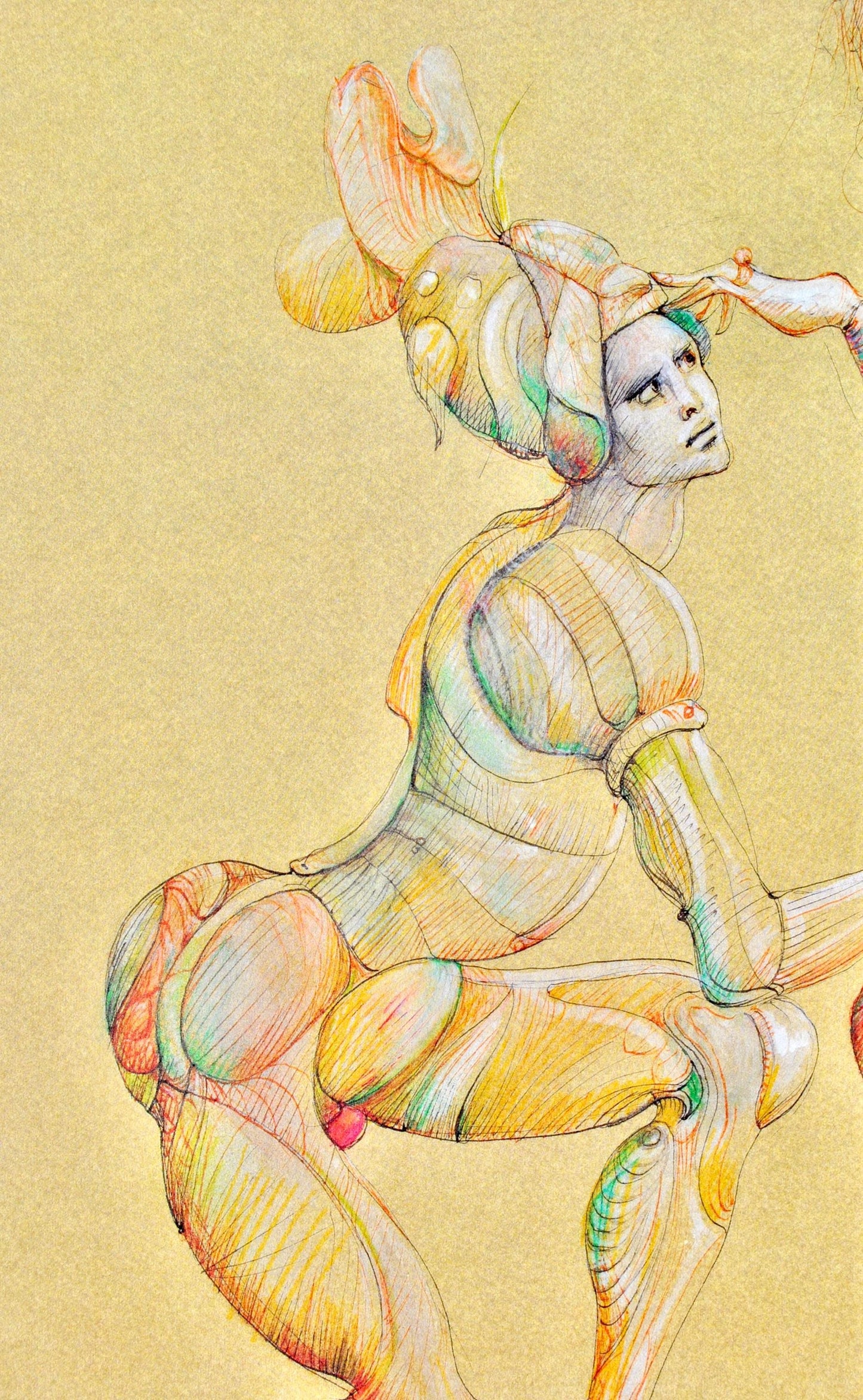 Lonor Fini, Composition, Fruits De La Passion, Xxe Sicle, Hliogravure