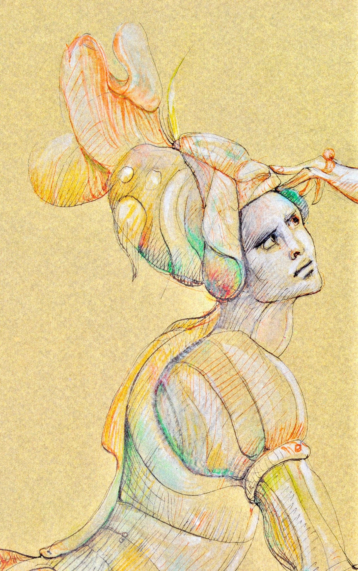 Lonor Fini, Composition, Fruits De La Passion, Xxe Sicle, Hliogravure