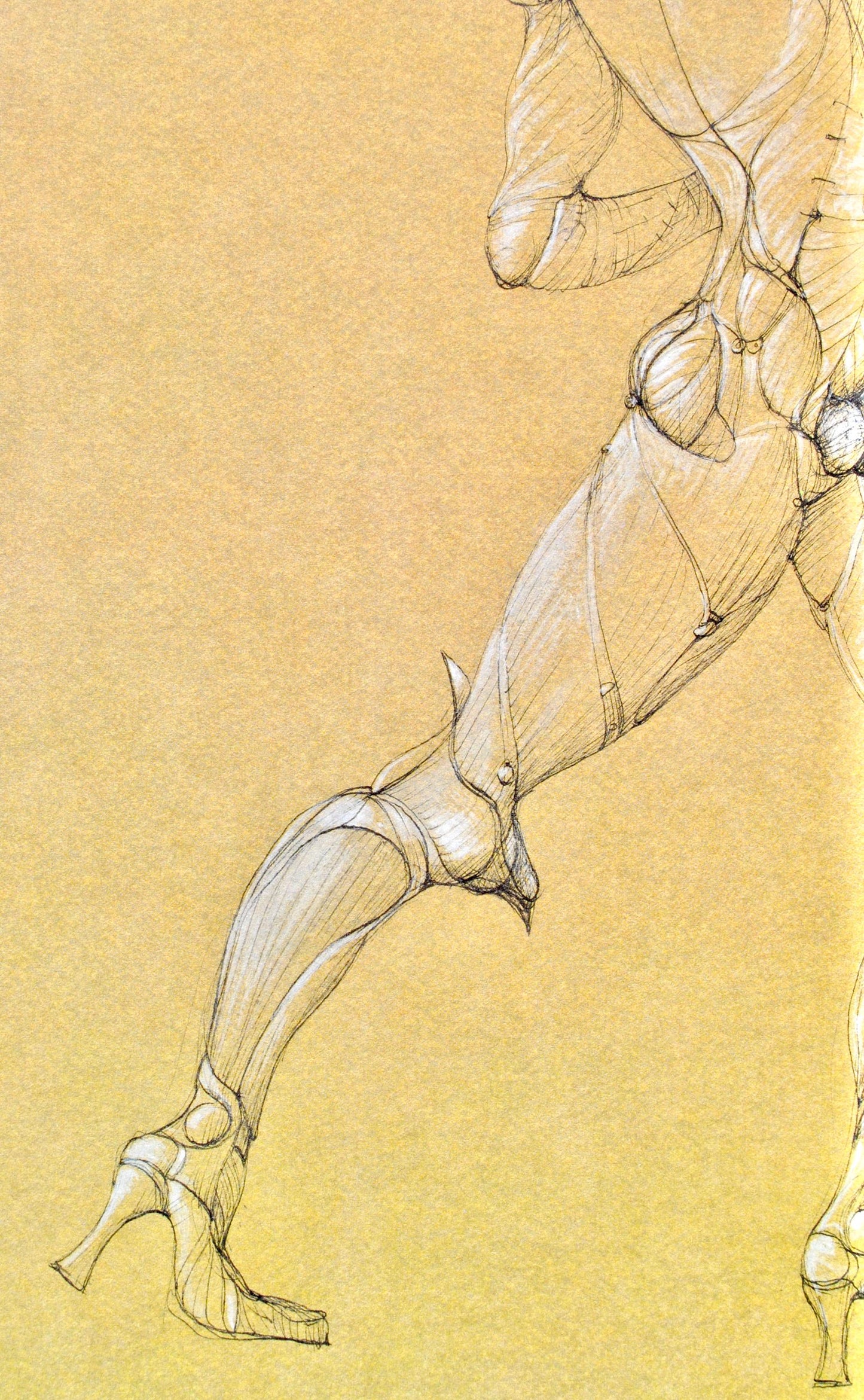 Lonor Fini, Composition, Fruits De La Passion, Xxe Sicle, Hliogravure