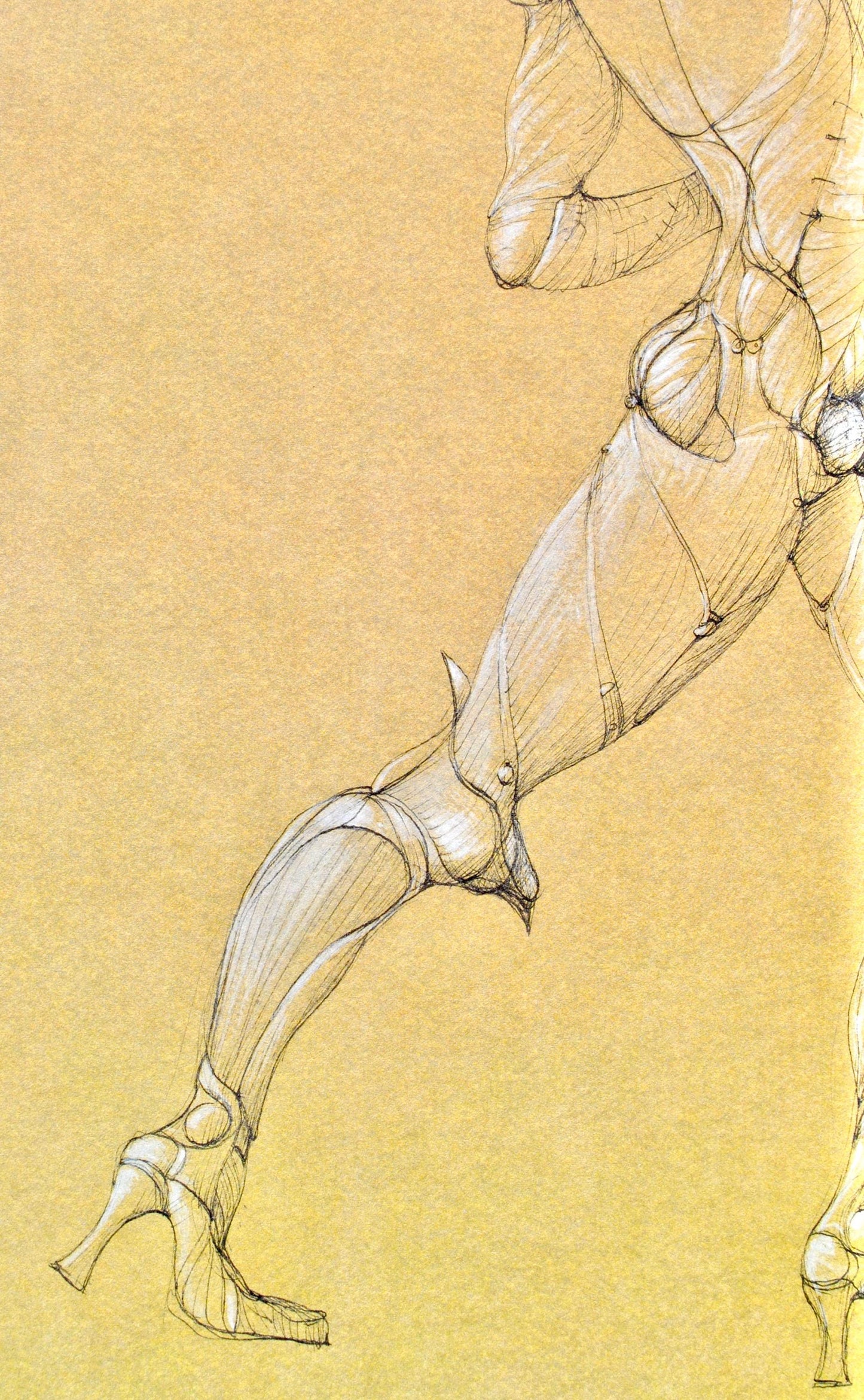 Lonor Fini, Composition, Fruits De La Passion, Xxe Sicle, Hliogravure