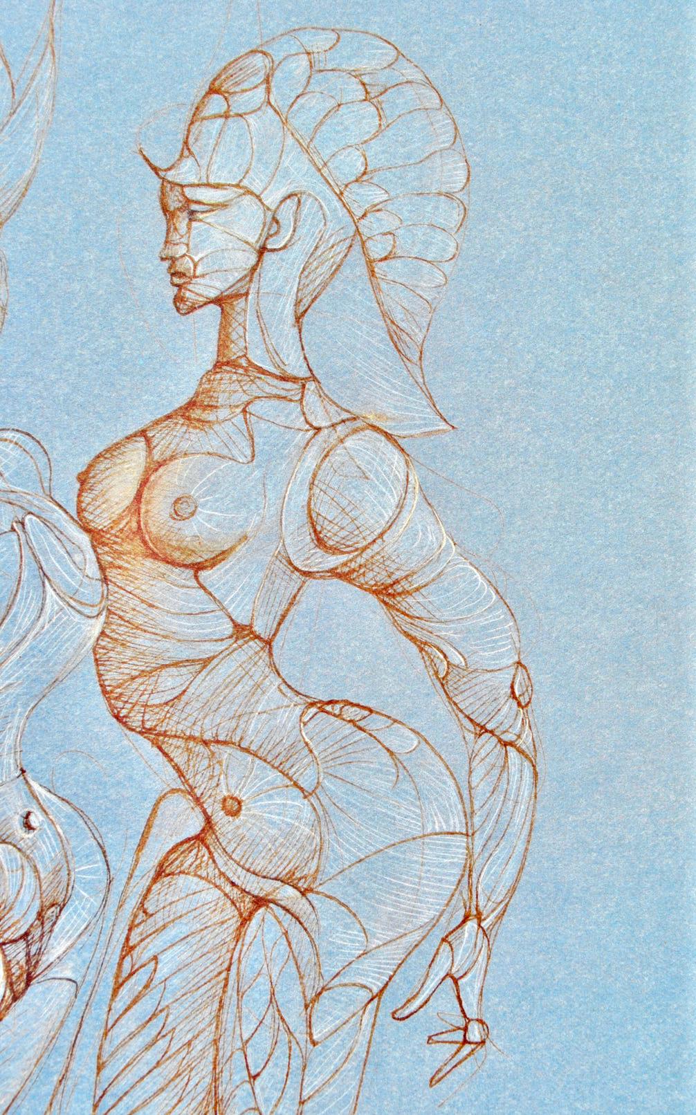 Lonor Fini, Composition, Fruits De La Passion, Xxe Sicle, Hliogravure