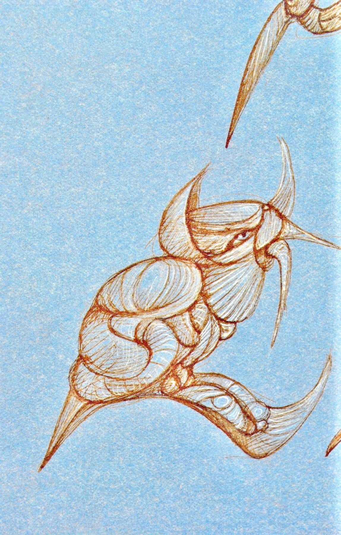 Lonor Fini, Composition, Fruits De La Passion, Xxe Sicle, Hliogravure