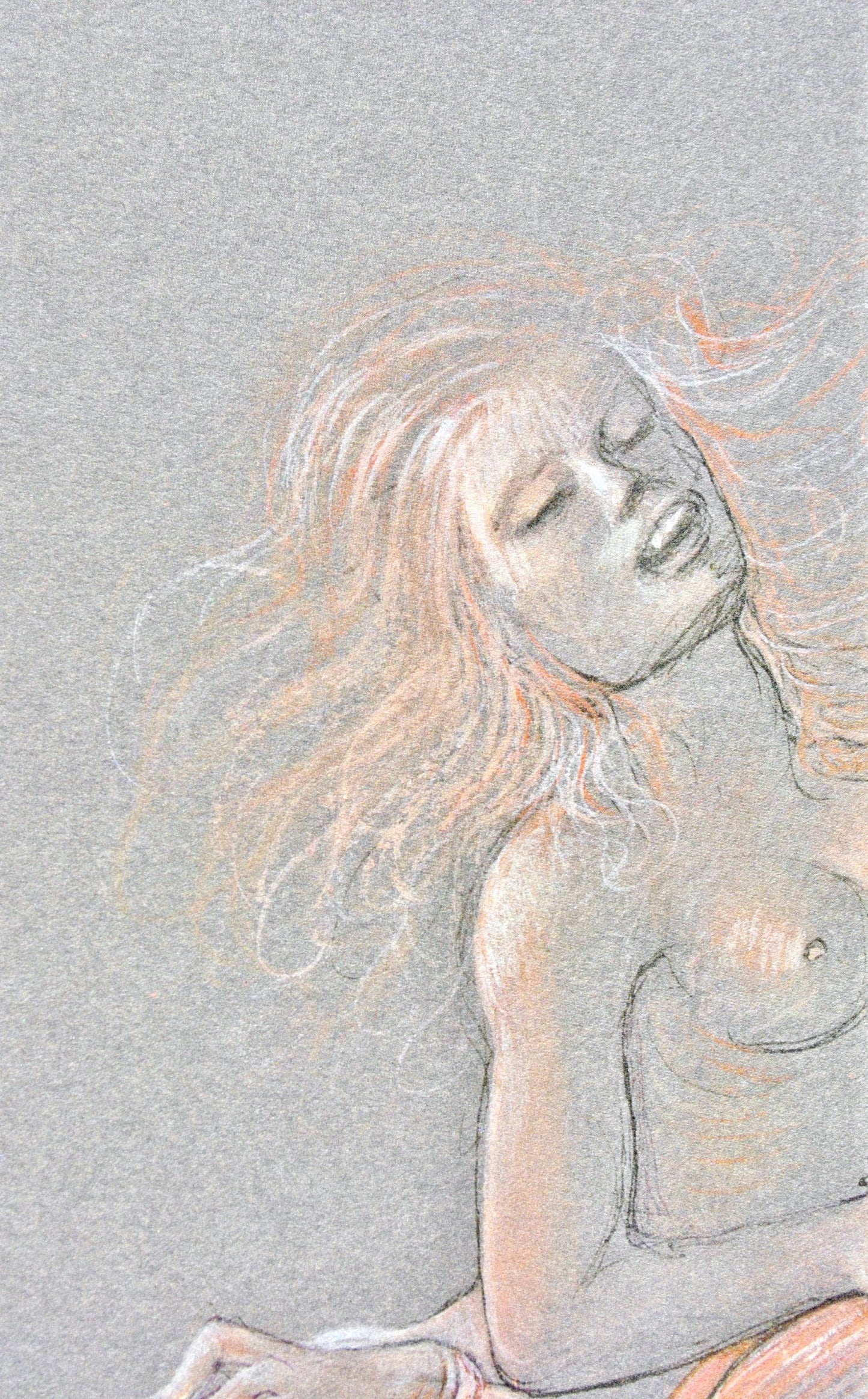 Lonor Fini, Composition, Fruits De La Passion, Xxe Sicle, Hliogravure