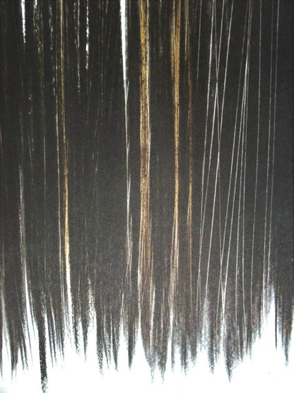 Hans Hartung, P. 1960-76, Hans Hartung, Peintres D'Aujourd'Hui, Hliogravure