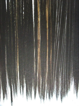 Hans Hartung, P. 1960-76, Hans Hartung, Peintres D'Aujourd'Hui, Hliogravure