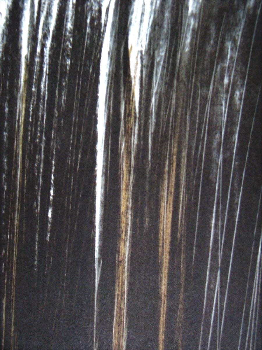 Hans Hartung, P. 1960-76, Hans Hartung, Peintres D'Aujourd'Hui, Hliogravure