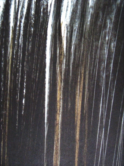 Hans Hartung, P. 1960-76, Hans Hartung, Peintres D'Aujourd'Hui, Hliogravure