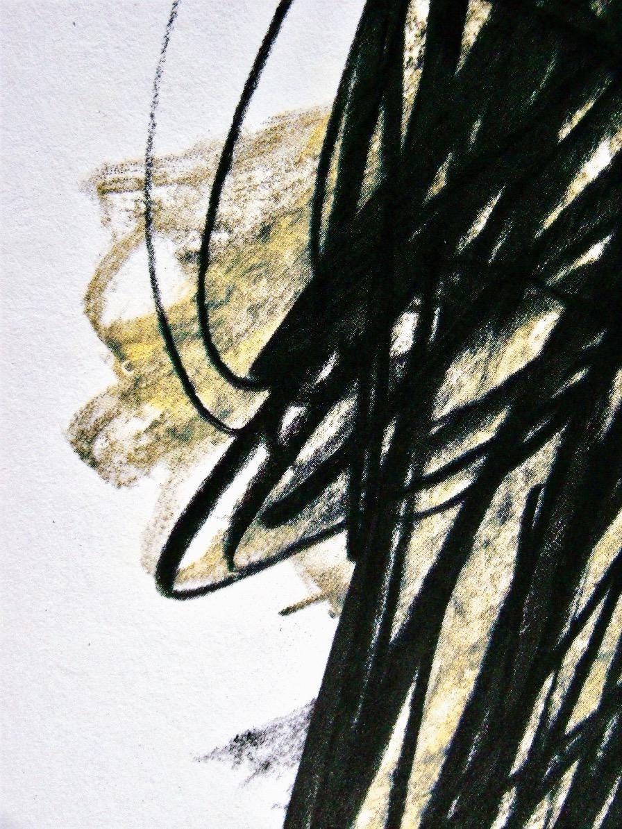 Hans Hartung, P. 1960-166, Hans Hartung, Peintres D'Aujourd'Hui, Hliogravure