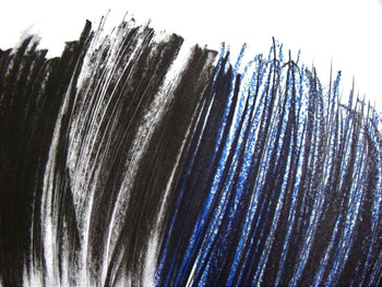 Hans Hartung, P. 1960-116, Hans Hartung, Peintres D'Aujourd'Hui, Hliogravure