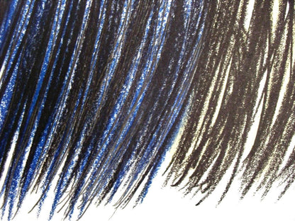 Hans Hartung, P. 1960-116, Hans Hartung, Peintres D'Aujourd'Hui, Hliogravure