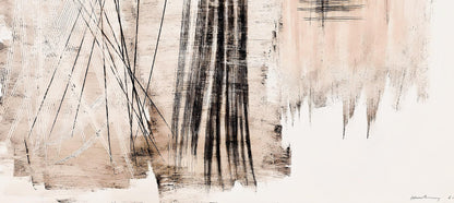 Hans Hartung, P. 1960-165, Hans Hartung, Peintres D'Aujourd'Hui, Hliogravure