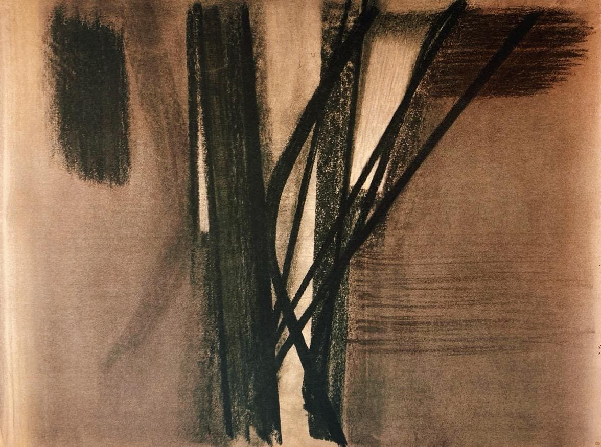 Hans Hartung, P. 1958-10, Hans Hartung, Peintres D'Aujourd'Hui, Hliogravure