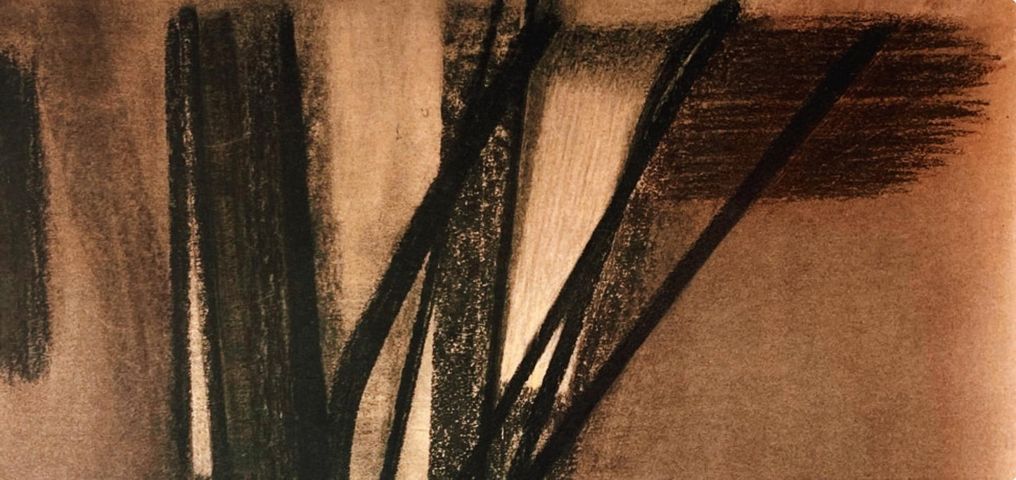 Hans Hartung, P. 1958-10, Hans Hartung, Peintres D'Aujourd'Hui, Hliogravure