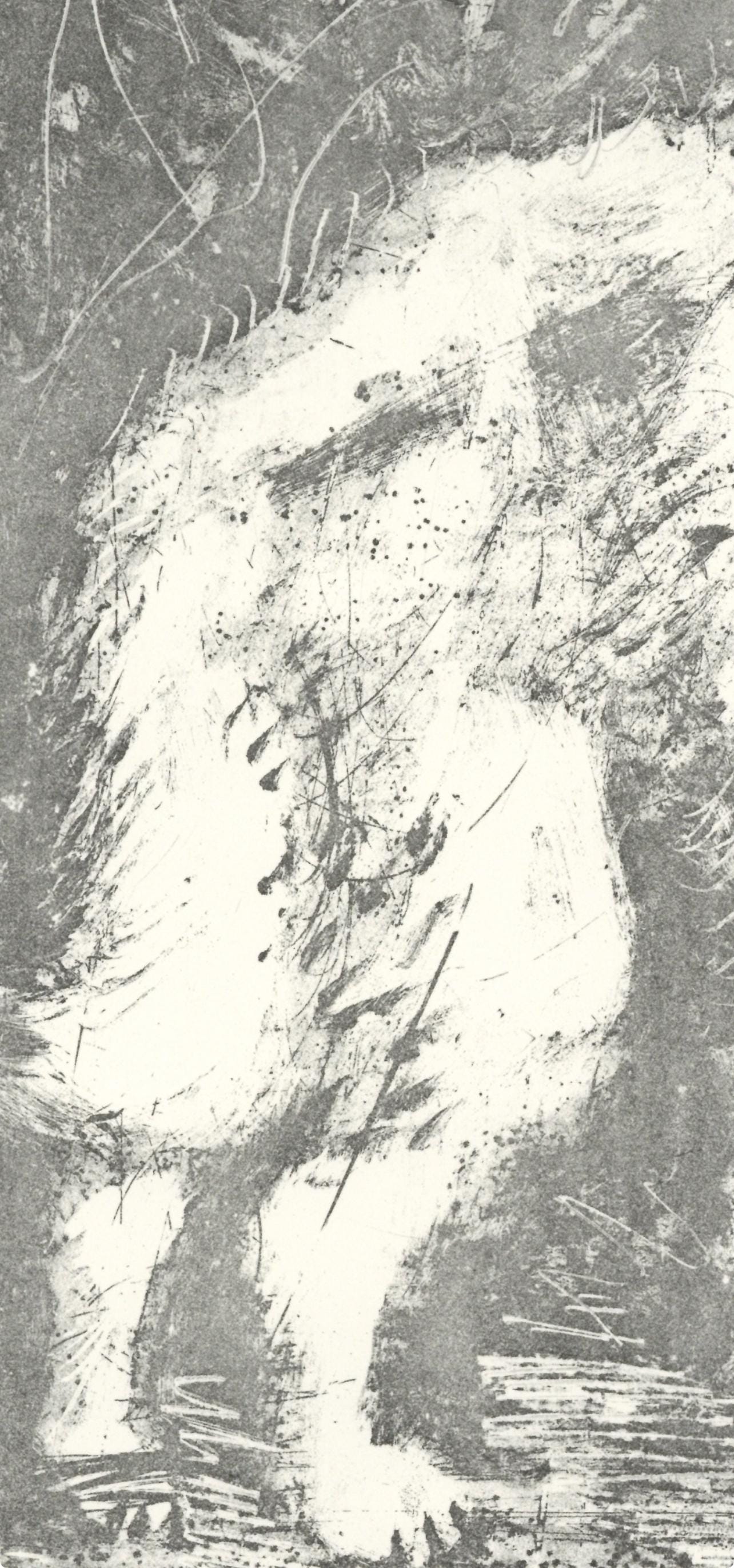 Pablo Picasso, Le Loup (The Wolf) (Orozco P.82), Histoire Naturelle, Lithograph