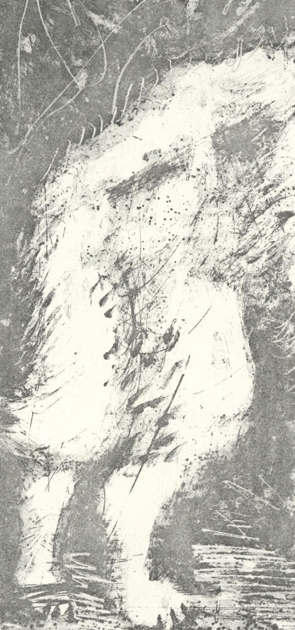 Pablo Picasso, Le Loup (The Wolf) (Orozco P.82), Histoire Naturelle, Lithograph