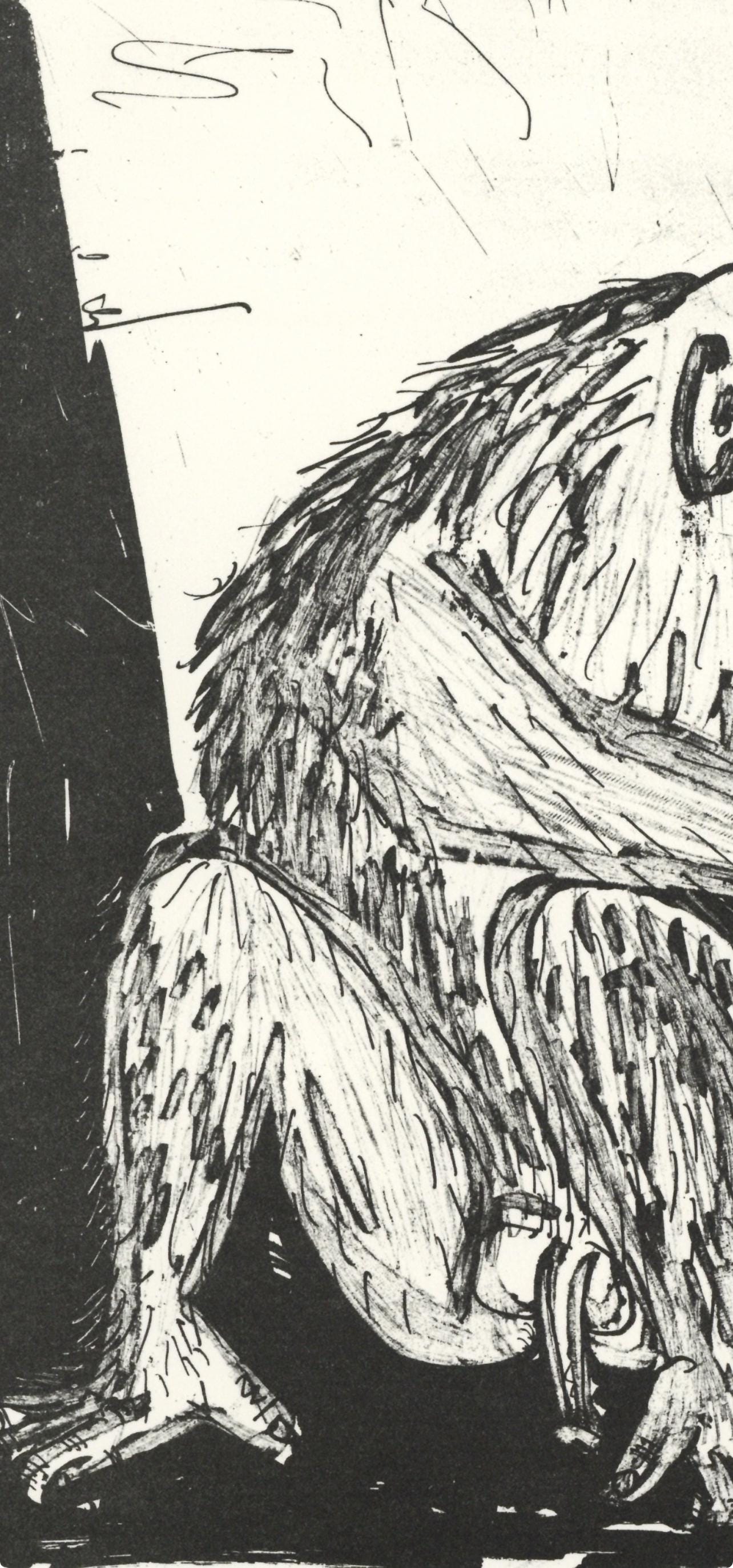 Pablo Picasso, Le Singe (The Monkey) (Orozco P.82), Histoire Naturelle, Lithograph