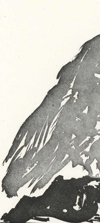 Pablo Picasso, Le Vautour (The Vulture) (Orozco P.82), Histoire Naturelle, Lithograph