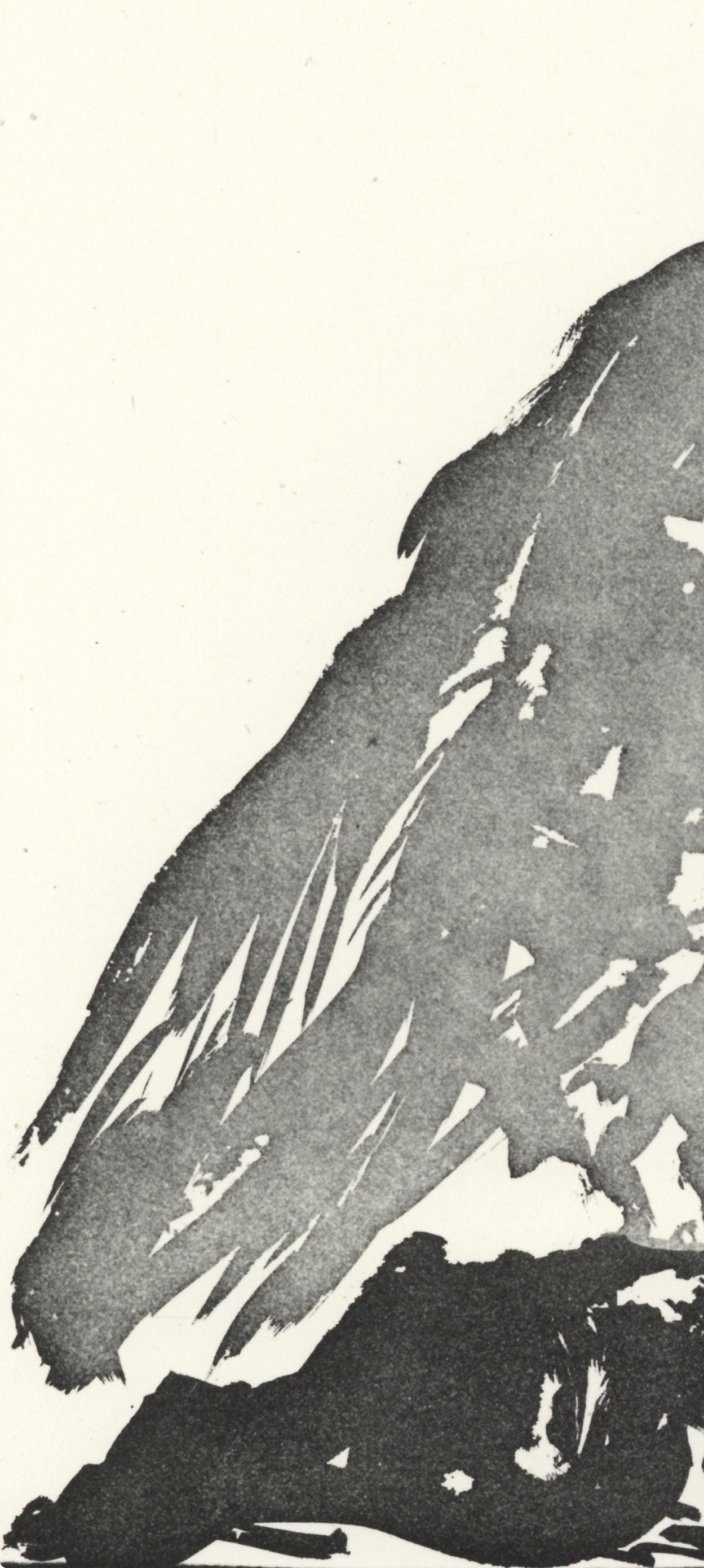 Pablo Picasso, Le Vautour (The Vulture) (Orozco P.82), Histoire Naturelle, Lithograph