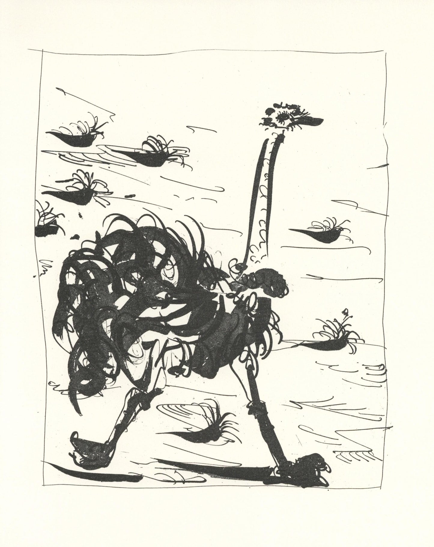 Pablo Picasso, L'Autruche (The Ostrich) (Orozco P.82), Histoire Naturelle, Lithograph