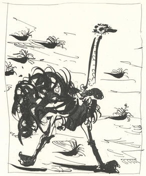 Pablo Picasso, L'Autruche (The Ostrich) (Orozco P.82), Histoire Naturelle, Lithograph